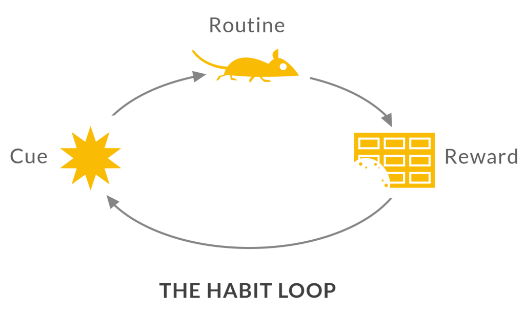 the-habit-loop