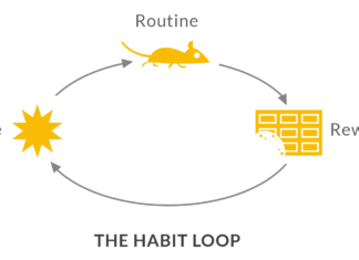 the-habit-loop