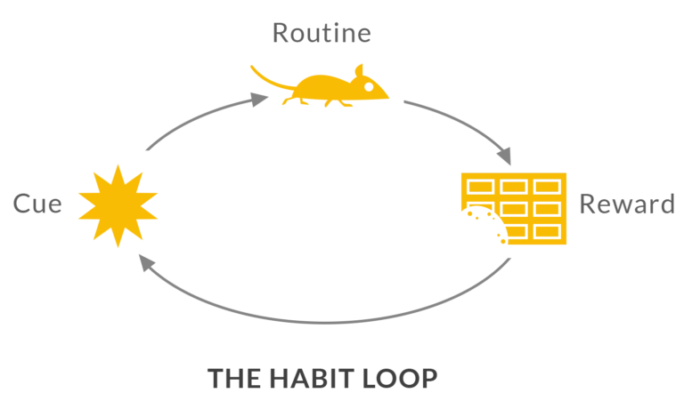 the-habit-loop