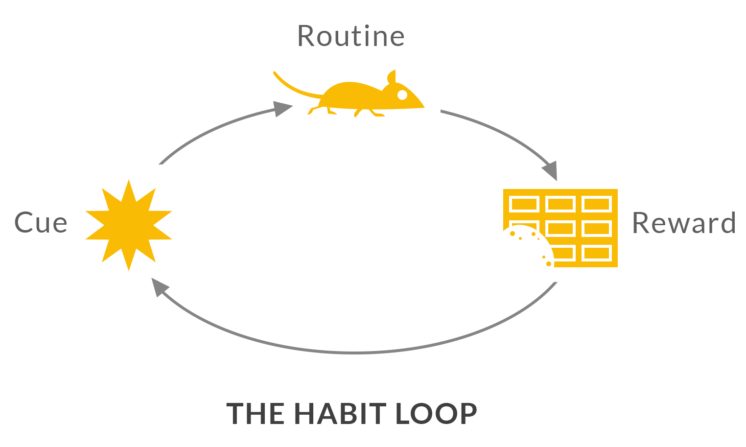 the-habit-loop