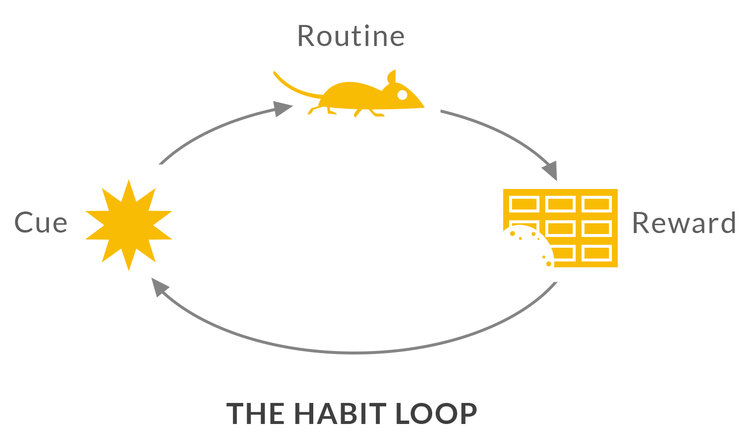 the-habit-loop