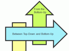 top-down og buttom - up