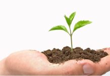 Hvilke verdier ønsker du å lære ditt barn? verditolkning