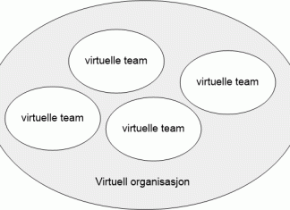virtuell-organisasjon-team
