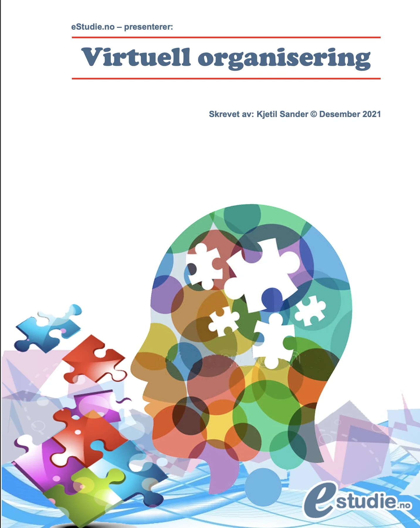 virtuell organisering